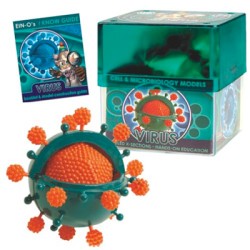 Modelo a escala virus